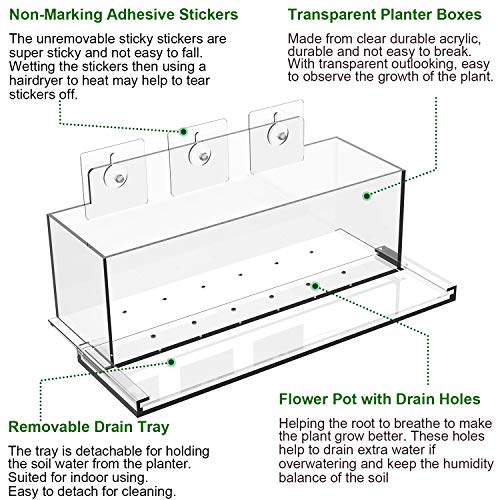 Niuxx 12 Inches Window Box Planter With Saucer, Garden Plant Flower Pot With Suction Stickers, Rectangle Kitchen Succulent Herb Pots Outdoor Indoor, Modern Floral Natural Centerpieces Home Decor #TOP1