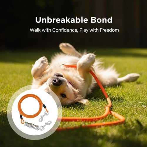 Laisse pour chien en acier robuste avec double clip haute résistance - 4