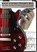 EASY GUITAR THEORY DVD - Play, Write and Understand Music Theory for Guitar