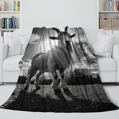 Couverture de voyage microfibre contre le froid au bureau et à la maison