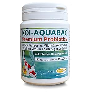 pondovit Koi-Aquabac, probiotische filterbacteriën, starterbacteriën, melkzuurbacteriën, 300 g voor 300 m³ vijverwater
