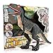 Liberty Imports Dino Planet Remote Control R/C Walking Dinosaur Toy with Shaking Head, Light Up Eyes & Sounds (Velociraptor)