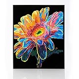 DIAMOND DOTZ 2594371 Original 5D Diamond Painting Set, Neon Gerbera, mit Neonfarben und Samt, DIY Diamant Malerei Bilder für Erwachsene und Kinder ab 12 Jahren, Intermediate