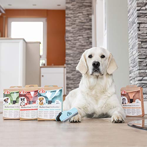 8in1 Coat DeShedder S - Unterfellbürste für kleine Hunde, für Kurzhaar und Langhaar geeignete Hunde-Bürste zur Entfernung der Unterwolle, grün