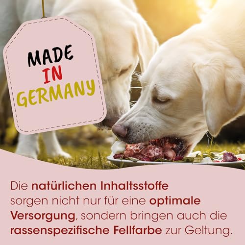 Fit-BARF Seealgenmehl für Hunde & Katzen - Natürliche Jodquelle 500 g
