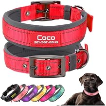 Personalized Dog Collars with Pet Name and Phone Number,Soft Neoprene Padded,Thick Strong Dog Collar,Adjustable Reflective Nylon Collar for Small Medium and Large Dogs, Red