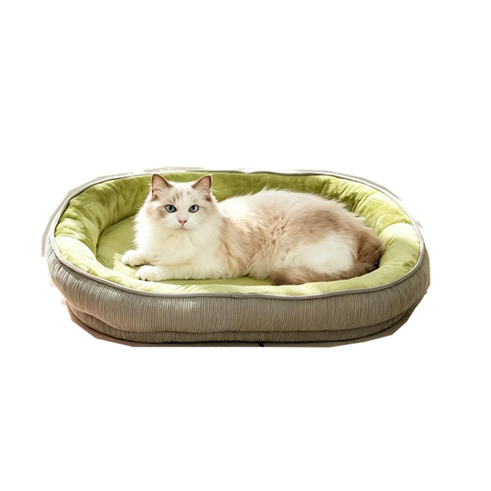 Generico Cuccia per Gatto Lavabile, Morbida Cuccia in Peluche con Bordi Rialzati, Letto Ortopedico con Rivestimento Rimovibile, Comodo per Gatti da Casa(Medium)