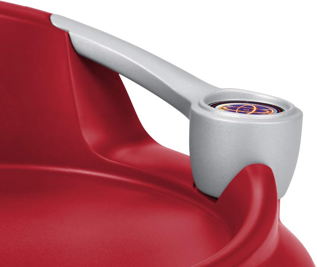 Radio Flyer Spin N Saucer