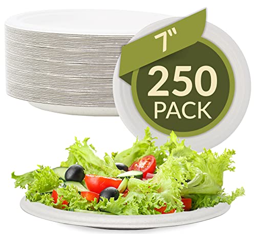 Image of Reli. Compostable Paper Plates 7 inch (250 Pack Bulk) | White Disposable Plates | Heavy Duty Paper Eco Friendly | Made of Sugarcane Fibers /Bagasse - Biodegradable /Compostable | Small