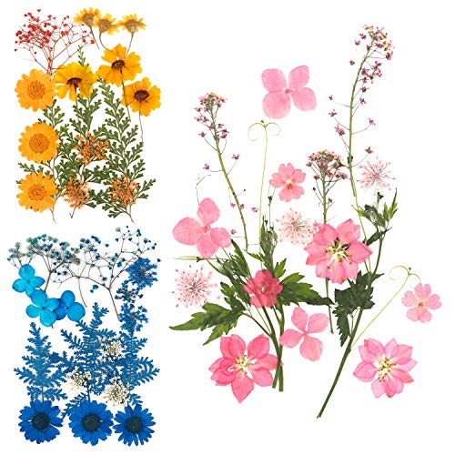 54 Pieces Real Dried Pressed Flowers,Multicolor Pure Dry Flowers Leaves Patels for DIY Resin Jewelry Nail Crafts Making Art Floral Decors