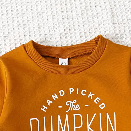 Image of Baby Boy Girl Pumpkin Sweatshirt Tops Toddler Halloween Outfit Long Sleeve Crewneck Pullover Sweater Shirt Fall Clothes