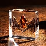 Taxidermy Bat in Resin, Realistic Wet Specimen Oddity Gift for Goth Lovers & Weird Decor Fans, Chibiubiu Oddities & Curiosities - Birthday Gifts for Men Women (3x3 Inch)