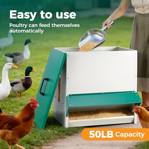 Nourriture automatique pour poules 45 kg en métal extérieur