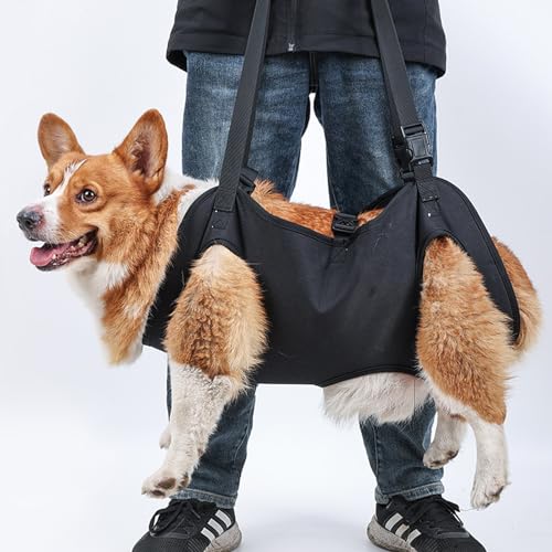 Hunde Tragehilfe, Tragbares Hundegeschirr, Verstellbare Hundehebegeschirr, Hundestützschlaufe, Hundetragegurt, Ganzkörperhebehilfe für Mittlere und Große Kranke Oder ältere Hunde (L)