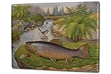 LEotiE SINCE 2004 Blechschild Scholz Fischarten Bachforelle Meeresfische Raubfische Friedfische Angeln 20x30 cm Metallschilder Nostalgie Küche