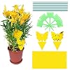 Rajvia Gele stickers rouwmuggen 30 stuks, kleverige insectenvallen, dubbelzijdige vliegenvangers stickers voor witte…