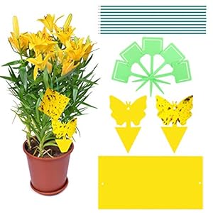 Rajvia Gele stickers rouwmuggen 30 stuks, kleverige insectenvallen, dubbelzijdige vliegenvangers stickers voor witte…