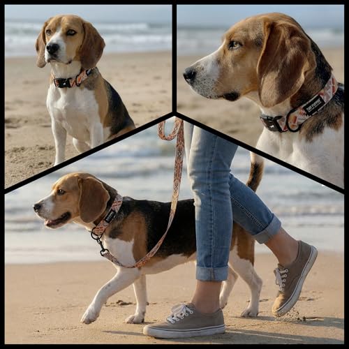 Image of Tuff Pupper Premium Adjustable Dog Collar for Medium Boy & Girl Dogs, Stylish Pattern Collars Designed in USA, Quick Release Buckle, AztekSun Print, Medium (1 Inch Wide x 13-18 Inch Neck)