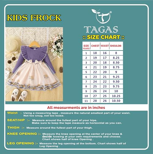 Image of Tagas Girls' Princess Dress for Girls ||Fancy Dress|| Birthday Frock for Girl