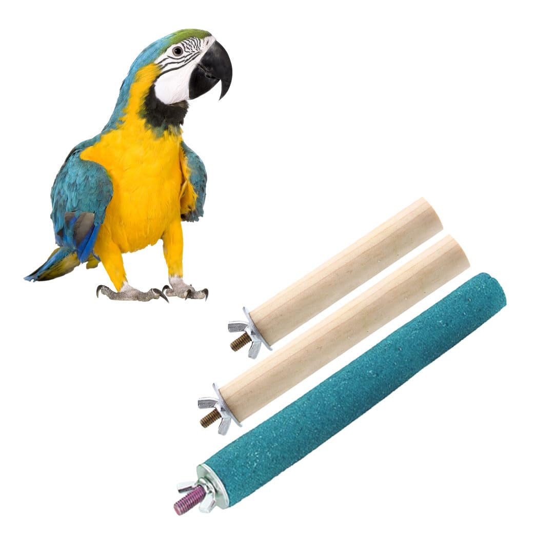 Sage Square Normal & Sand Perch Combo of 6, 8 & 10 inches Natural Wood Rough Sand Perches Grinding Nail | Playstand, Training, Cage Accessories |Finches, Parrot, Budgies, Cockatiels (Pack of 3)-image-37
