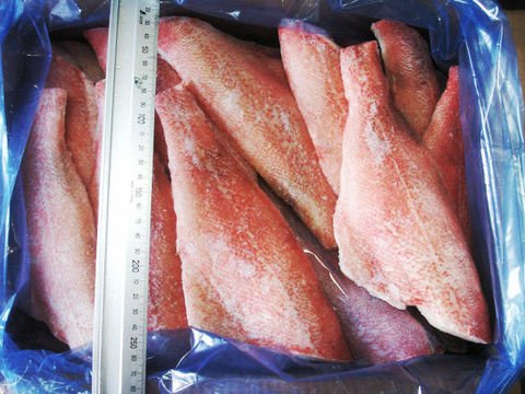骨取り赤魚フィーレ 5kg=30枚