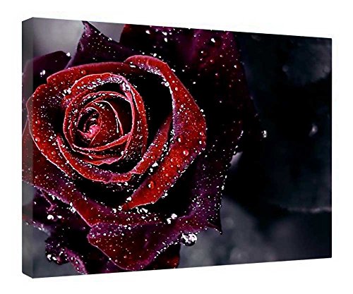 Toile rose rouge encadrée en bois de haute qualité pour art mural