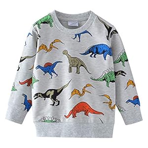 DHASIUE Kids Boys Dinosaur Sweatshirt Jumper T-Shirt Cute Long Sleeve Tops Casual Cotton Tee Shirts Toddler Clothes Age…