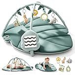 Vanplay Palestrina Neonato Multiattivita, Palestrine Neonato con 6 Giocattoli, Tappetino da Palestra Attività con Giocattoli, Palestrina Bambini, Antiscivolo Addensato