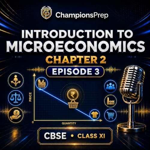 Budget Line and Budget Set in Economics Explained (Class 11)