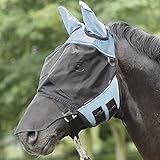 Busse