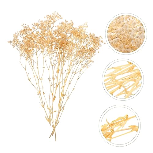Ramo de flores secas blanco Luxshiny para decoración miniatura 6