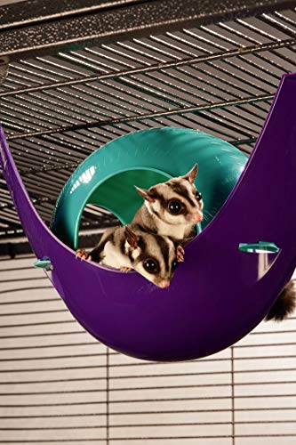 Lixit Critter Space Pod, Perfect For Small Animals (Large) #TOP6