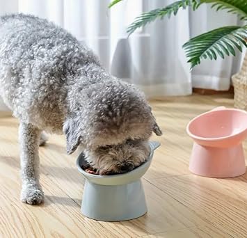 Special Food Water Container BPA Zero Easy to Clean Smooth Plastic for AEE 2 Cat Dog Ergonomic Neck and Mustache Health