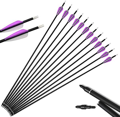 HANDBAIGE Archery Target Carbon Arrows with Fletched 3 Inch Vane and Removable Tips for Hunting Compound Bow and Recurve Bow-12Pack (32inch 500spine Purple)