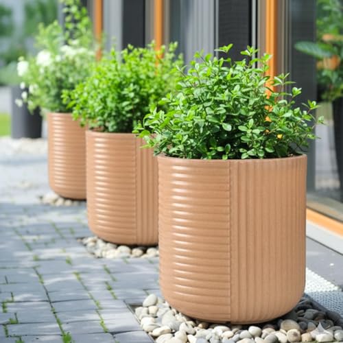 Image of Eha Earth Friendly Elanza Big Planters for Home Decor | 15 inch, Pack of 1 | Plant Pot Made with Rice Husk | UV Protected Pot for Plant | Pots & Planters Big Size | Dune