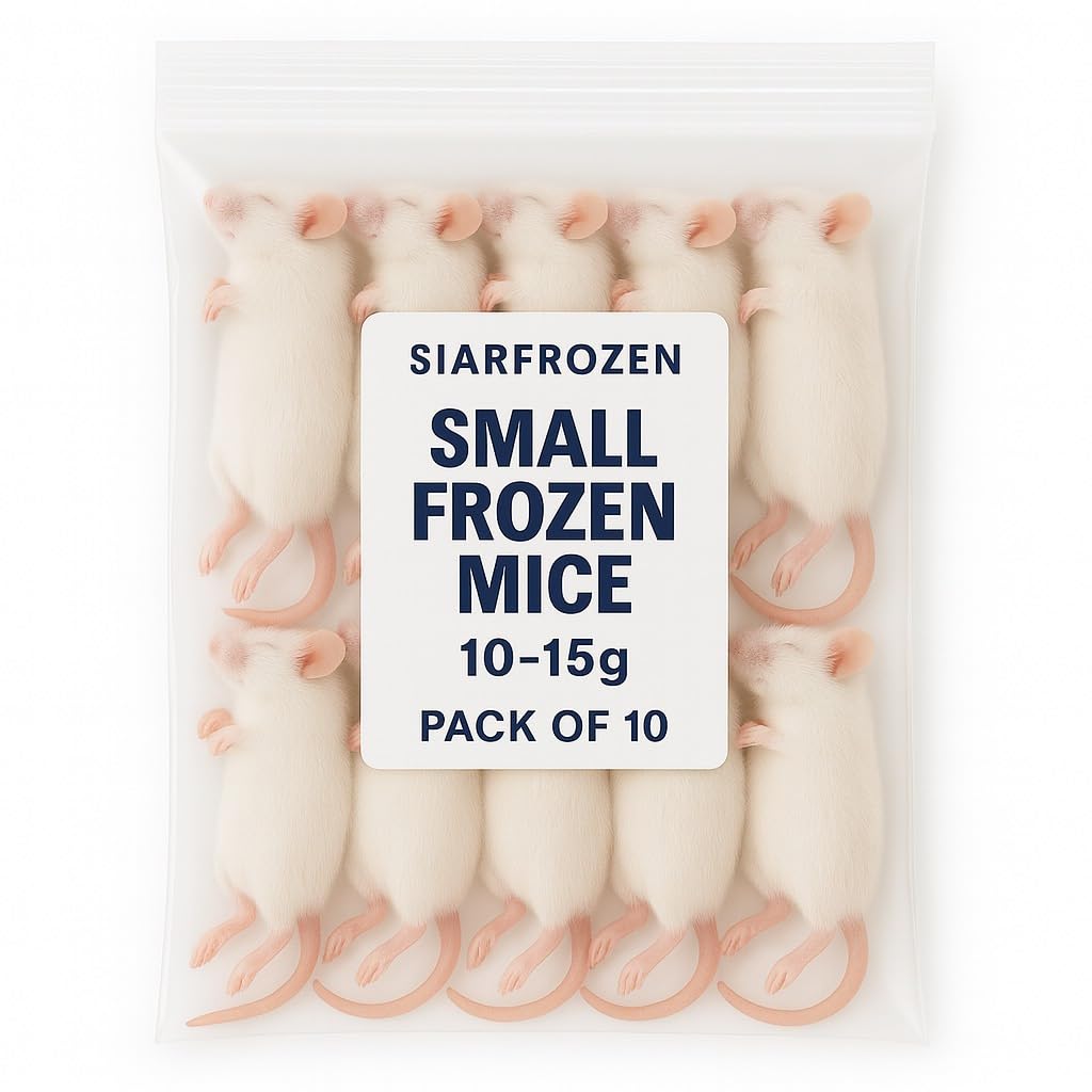 SiarFrozen™ Small Frozen Mice 10–15g – Pack of 10 | Premium Whole Prey for Snakes, Reptiles & Birds of Prey | Clean, High-Protein Feeder Mice