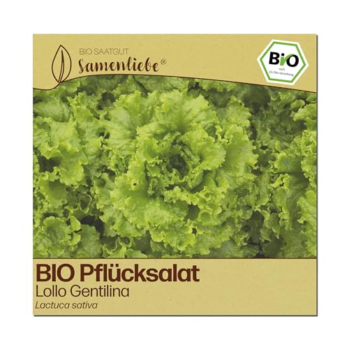Samenliebe BIO Pflücksalat Samen | Lollo Salat Gentilina - stark gekraust - samenfestes BIO Saatgut