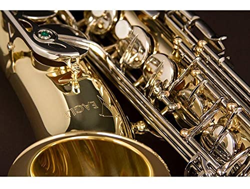 Saxofone Alto Eb SA500-LN Niquelado EAGLE