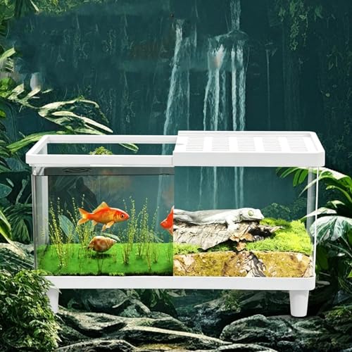 Enclos de reptile et terrarium pour gecko léopard en acrylique aéré