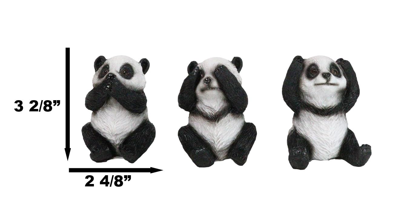 Amazon.com: Ebros Gift Set of 3 See Hear Speak No Evil Whimsical