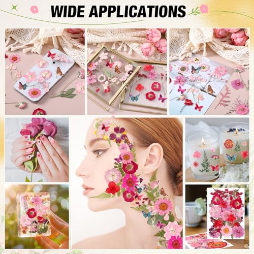 160 piezas flores prensadas secas rosas con stickers miniatura 6