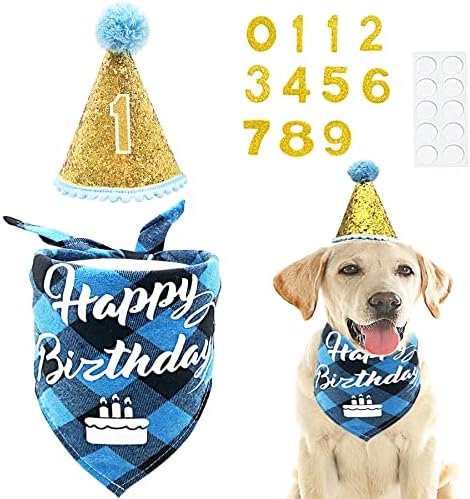 PET SHOW Blue Cone Hat and Bandana Set Birthday Party Supplies for Boy Male Small Medium Large Dogs Cats Birthday Hat 0-9 Numbers