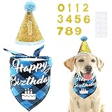PET SHOW Blue Cone Hat and Bandana Set Birthday Party Supplies for Boy Male Small Medium Large Dogs
