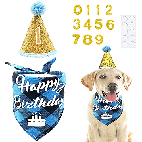 Pet Show Blue Cone Hat And Bandana Set Birthday Party Supplies For Boy Male Small Medium Large Dogs Cats Birthday Hat 0-9 Numbers #TOP29