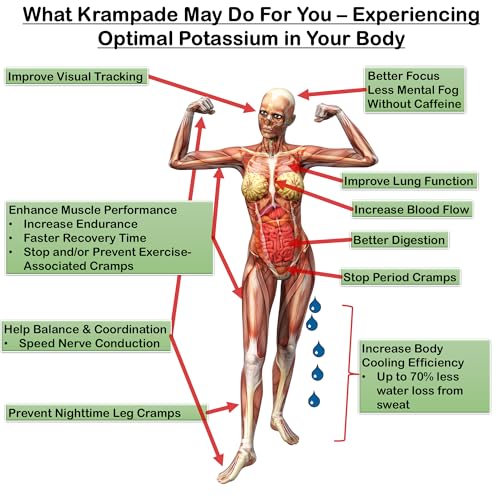 Krampade Potassium Magnesium Supplement Electrolytes Powder - 50 mg Mag + 4000 mg K, >4X More Than Coconut Water | Instant Cramp Relief | Hydration Packets