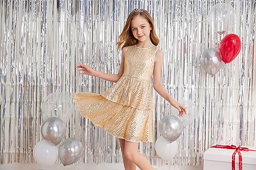 Danna Belle Girls Sequin Dress Sleeveless Party Birthday Dual-Layer Dresses 5-143