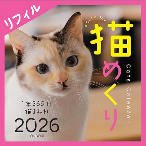 猫めくり 2026年 カレンダー リフィル 日めくり CK-C26-02のサムネイル