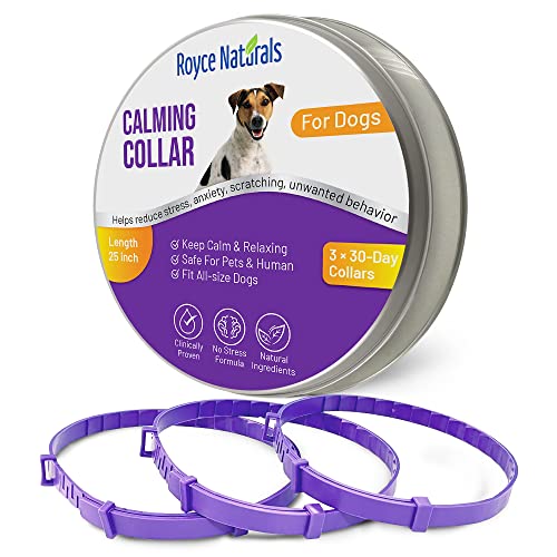 Top 10 Best Calming Collar For Dogs Reviews & Buying Guide Katynel