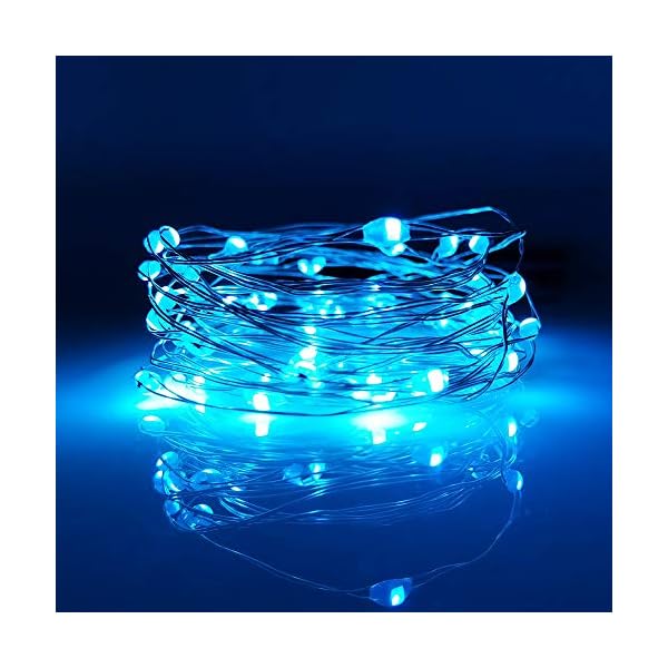 Liida led fairy string lights battery operated for wedding centerpiece christmas tree garlands mason jar craft party vase decoration