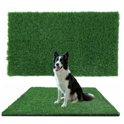 A rolled green turf carpet with a 0.6-inch pile — the 20 ft length that covers a narrow run in one piece